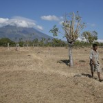 Un abitante del villaggio di Datah in Karangasem (Bali, Indonesia) con alle spalle il monte Augung che, secondo il centro di vulcanologia locale, sarebbe prossimo ad un’eruzione. Un abitante del villaggio di Datah in Karangasem (Bali, Indonesia) con alle spalle il monte Augung che, secondo il centro di vulcanologia locale, sarebbe prossimo ad un’eruzione.