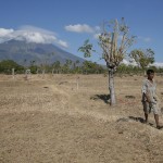 Un abitante del villaggio di Datah in Karangasem (Bali, Indonesia) con alle spalle il monte Augung che, secondo il centro di vulcanologia locale, sarebbe prossimo ad un’eruzione.