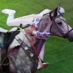 Esibizione equestre al Minsk International Circus Art Festival