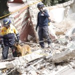 I soccorritori cercano eventuali sopravvissuti, anche con l'aiuto dei cani