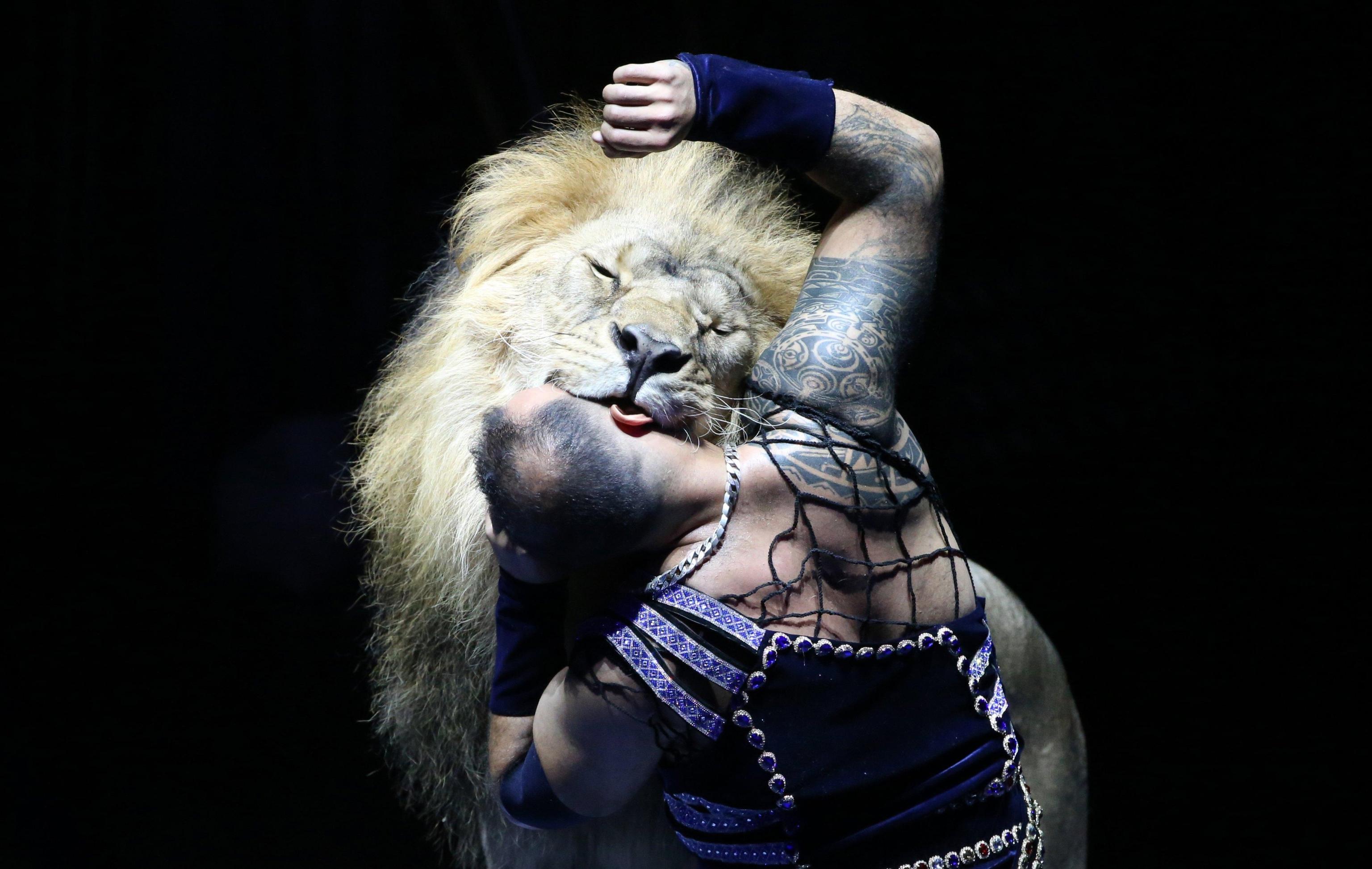 Non potevano mancare i leoni all'International Circus Art Festival di Minsk Non potevano mancare i leoni all'International Circus Art Festival di Minsk