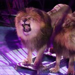 Il ruggito del leone davanti al pubblico dell'International Circus Art Festival di Minsk
