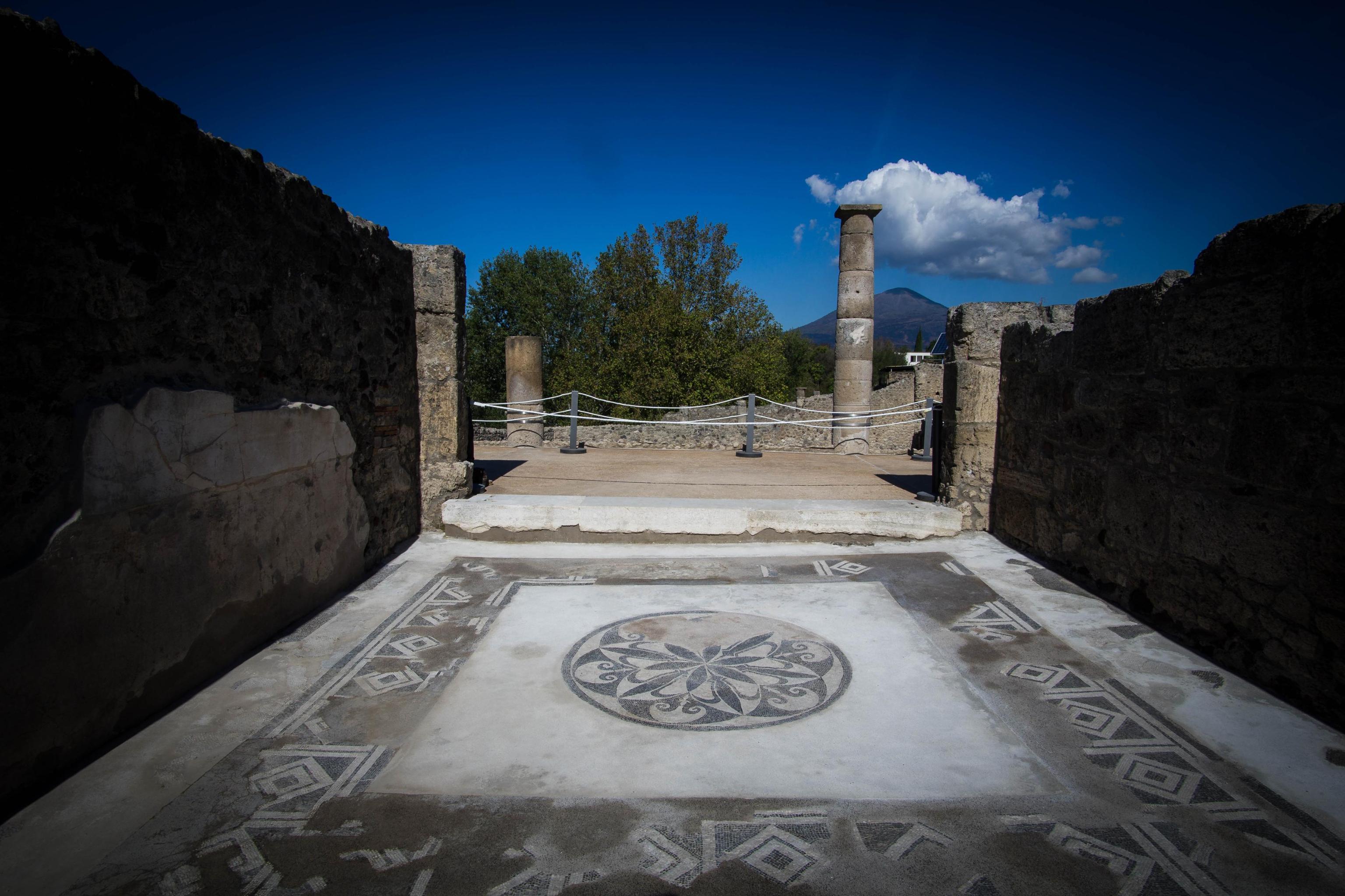 Uno dei mosaici presenti nel Complesso Championnet di Pompei