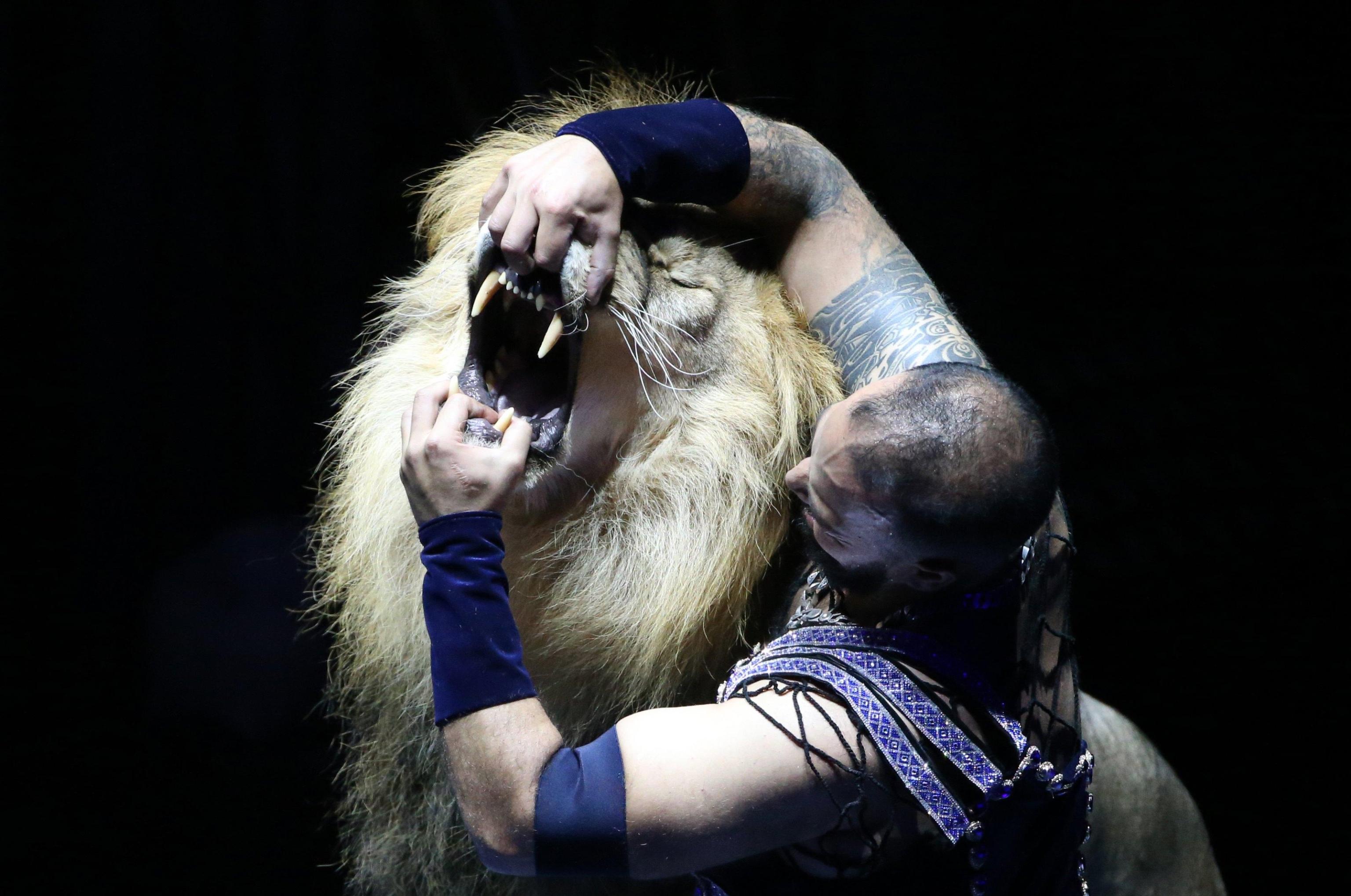 Il domatore e il leone all'International Circus Art Festival di Minsk Il domatore e il leone all'International Circus Art Festival di Minsk