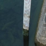 23 giugno. Il livello del lago di Bracciano è a -148 centimetri