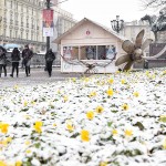 Quello che rimane di un "prato fiorito": la neve ha ricoperto la città di Torino