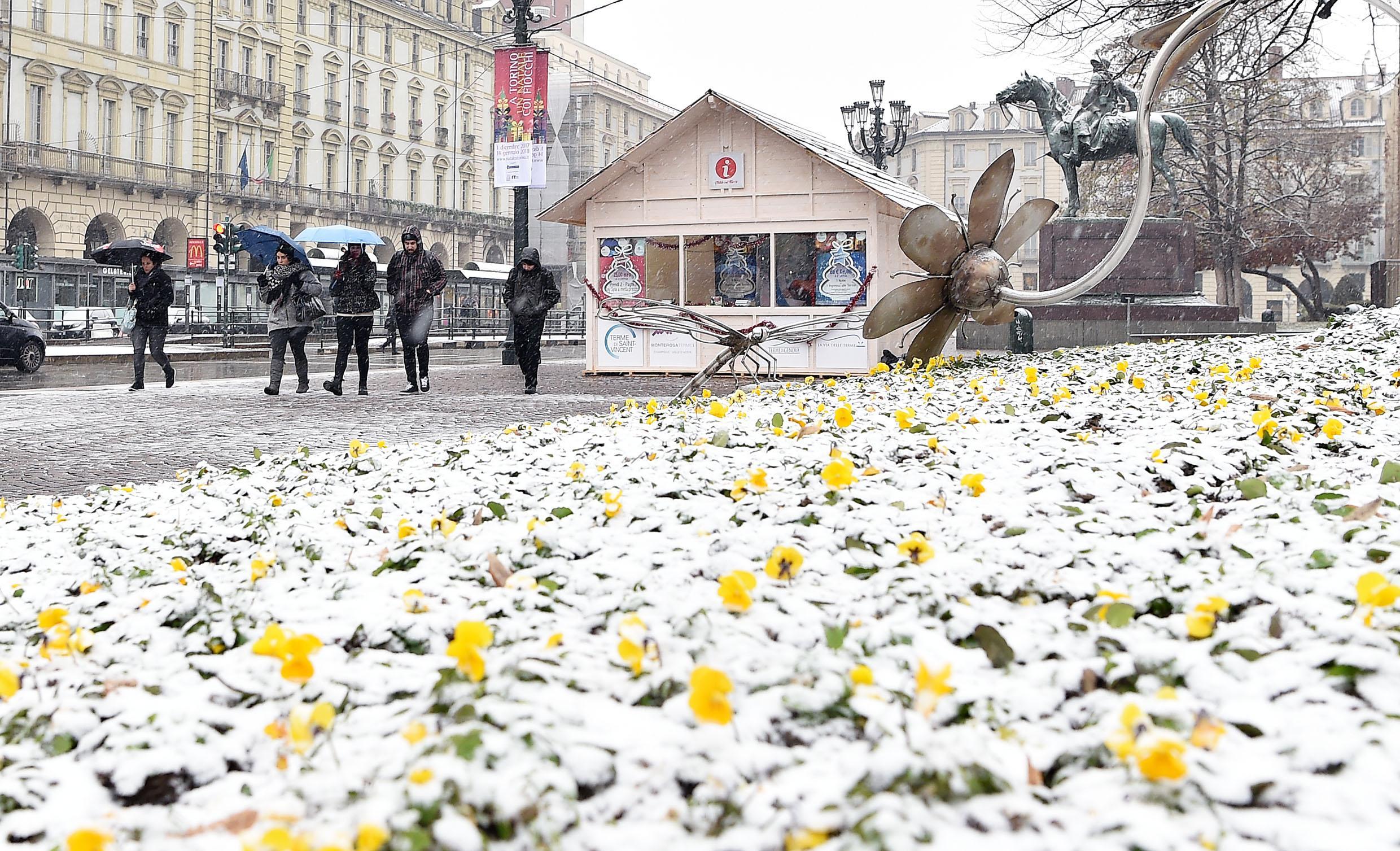 Quello che rimane di un "prato fiorito": la neve ha ricoperto la città di Torino