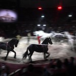 La coppia di artisti formata da Florian e Kevin Richter si esibisce con i cavalli durante l'apertura dello spettacolo a Budapest La coppia di artisti formata da Florian e Kevin Richter si esibisce con i cavalli durante l'apertura dello spettacolo a Budapest