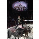 Un altro momento dell'esibizione con i cavalli del duo formato da Florian and Kevin Richter Un altro momento dell'esibizione con i cavalli del duo formato da Florian and Kevin Richter