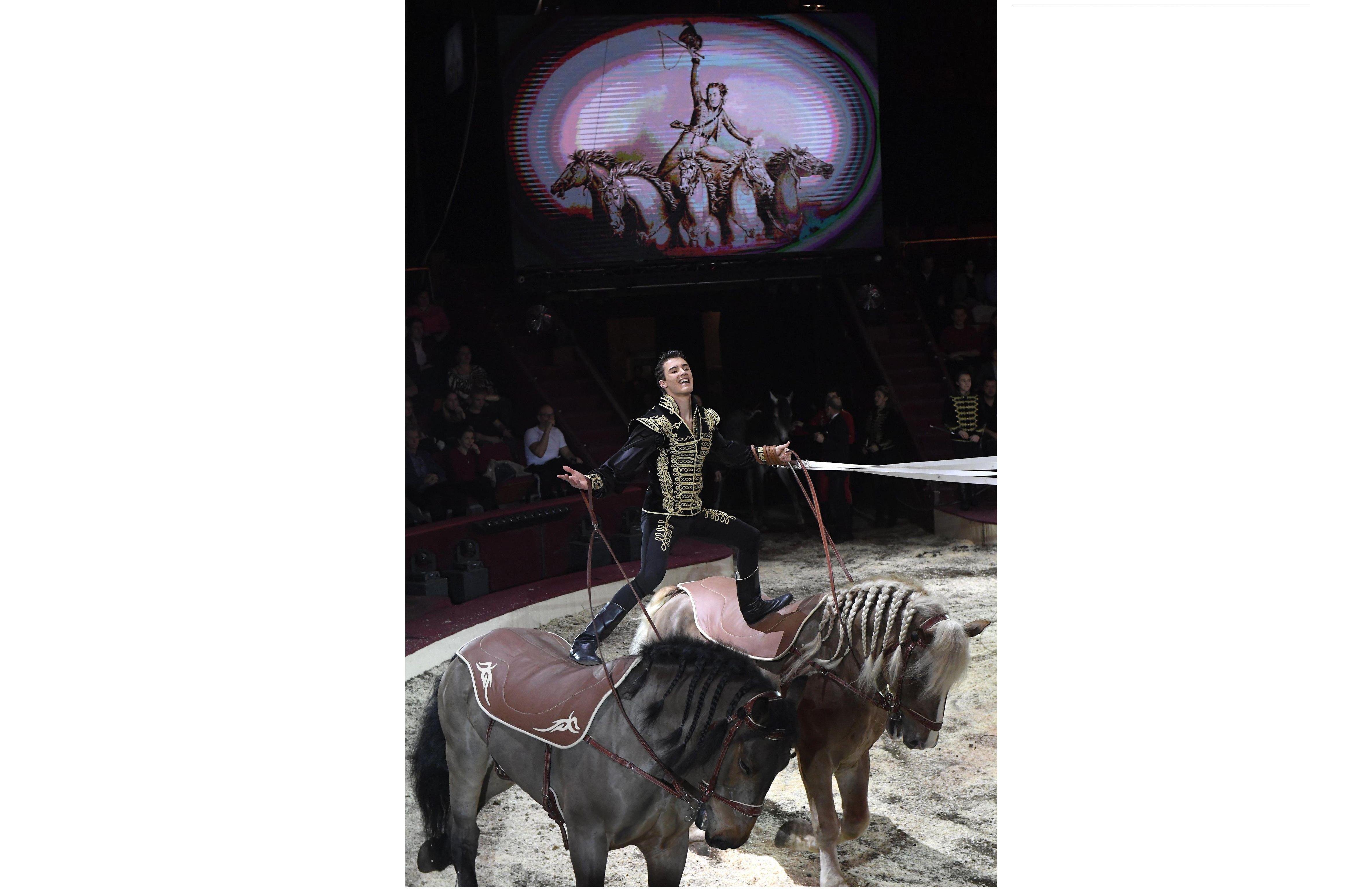 Un altro momento dell'esibizione con i cavalli del duo formato da Florian and Kevin Richter Un altro momento dell'esibizione con i cavalli del duo formato da Florian and Kevin Richter