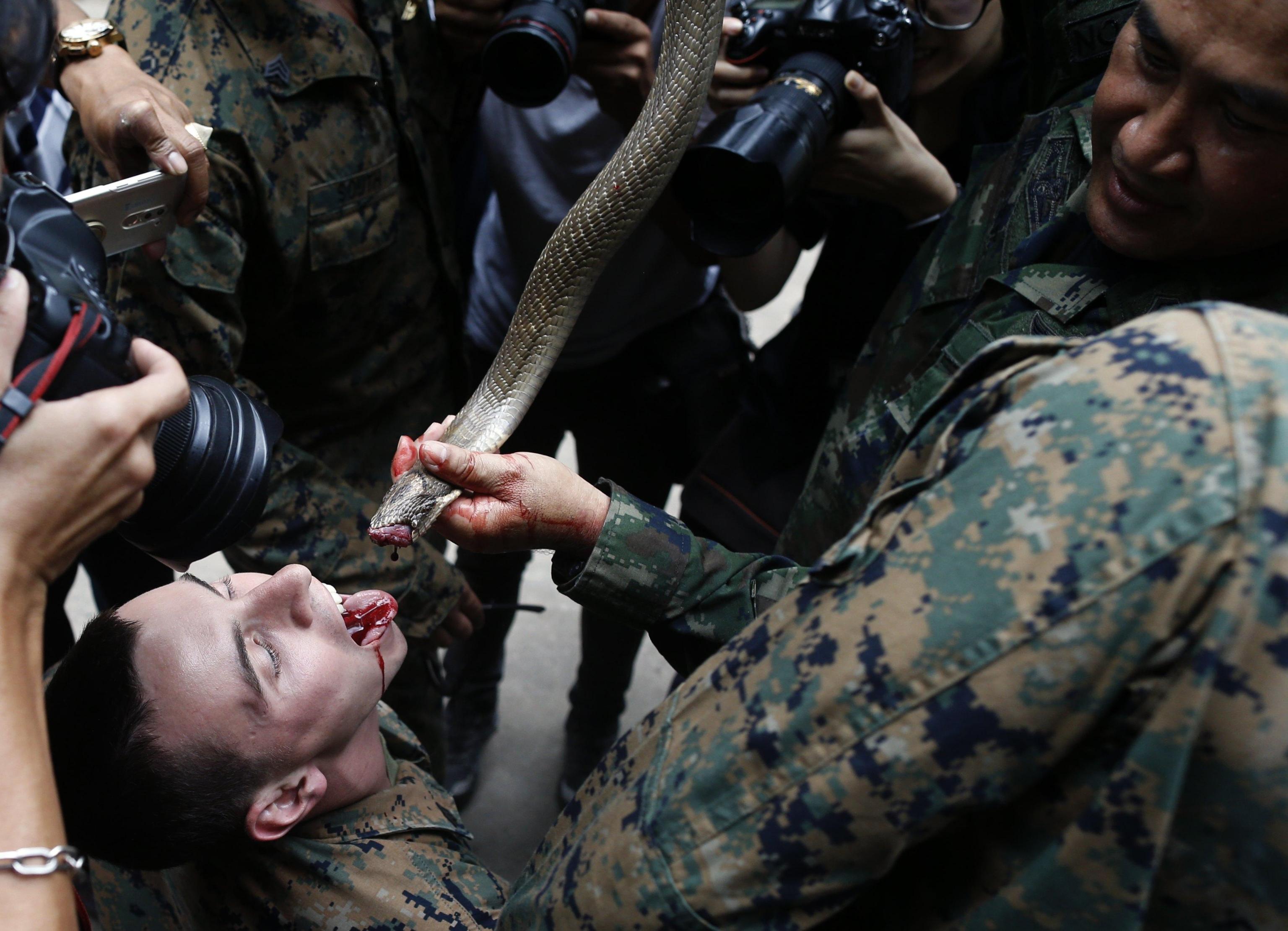 Gli addestratori thailandesi fanno sgocciolare il sangue dei serpenti, uccisi poco prima, nelle bocche dei militari