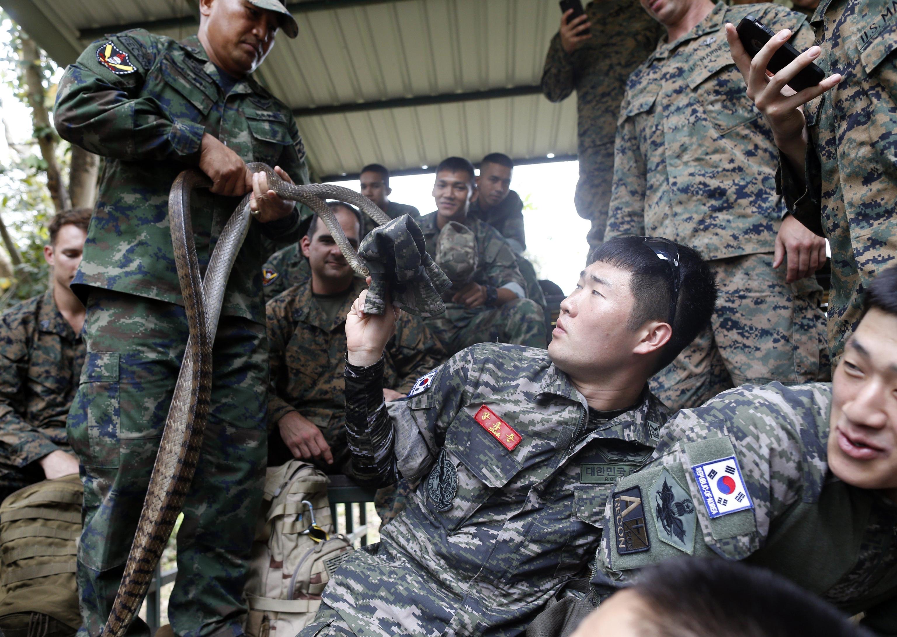 Non tutti i militari reagiscono bene alla vista dei cobra