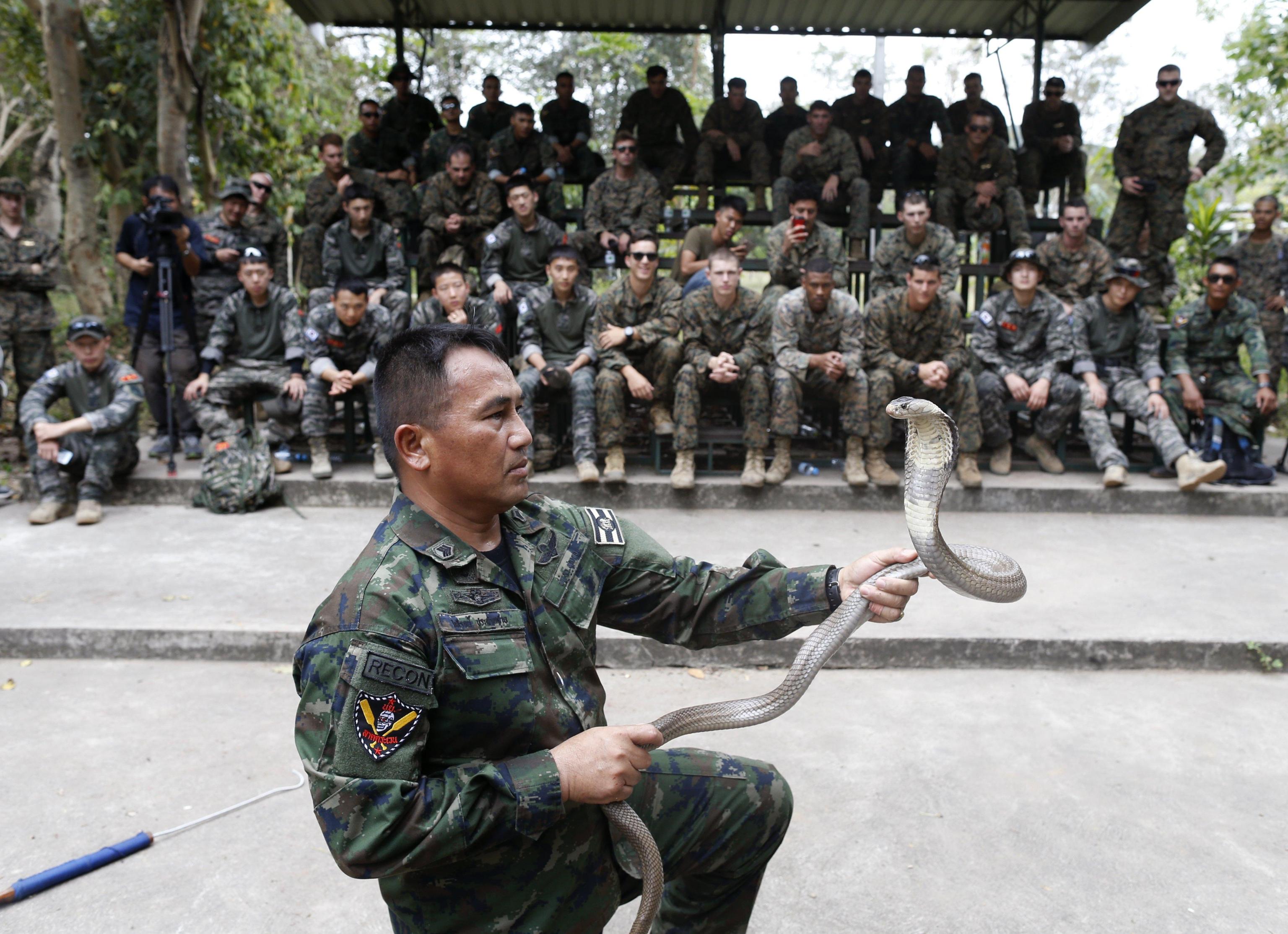 Un addestratore mostra alle truppe come rendere inoffensivo un cobra