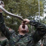 Istruttore thailandese mostra ai soldati come bere il sangue dei cobra