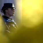 Una guardia d’onore circondata da mimose