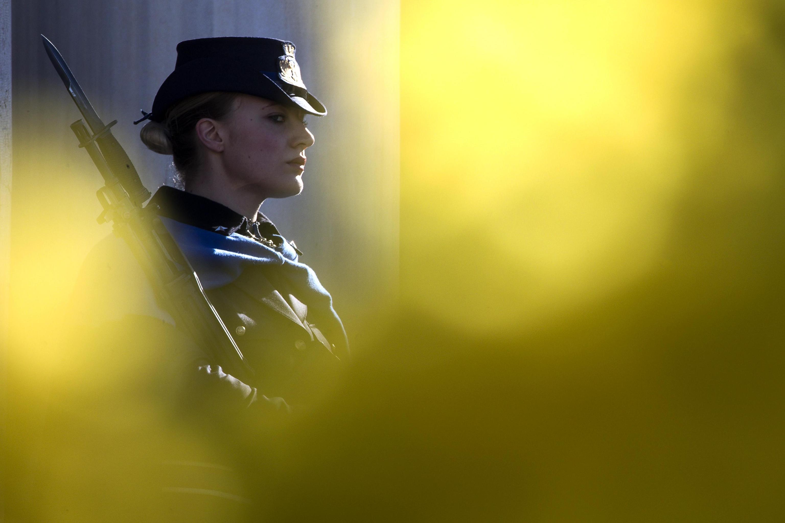Una guardia d’onore circondata da mimose