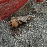 Bomba Fano:sindaco,pericolo cessato,ordigno a 2 miglia