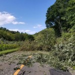 Alberi caduti su una strada che porta alla città di Atsuma Alberi caduti su una strada che porta alla città di Atsuma
