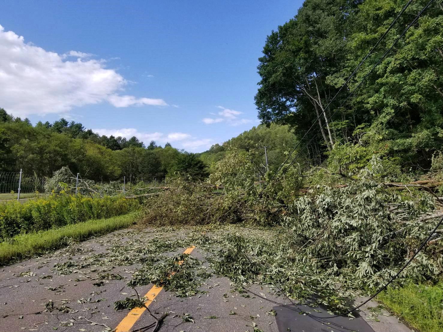 Alberi caduti su una strada che porta alla città di Atsuma Alberi caduti su una strada che porta alla città di Atsuma