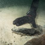 Un dettaglio del ritrovamento Un dettaglio del ritrovamento