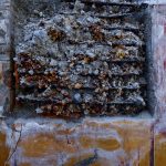 Uno scorcio dei ritrovamenti Uno scorcio dei ritrovamenti