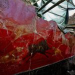 Dipinto parietale Dipinto parietale