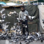 Migranti: sgombero presidio Baobab a Roma