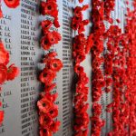 Inghilterra, papaveri sulle tombe dei caduti durante la prima guerra mondiale. Il Remembrance Day è giorno in cui nei paesi dell'Impero britannico, ora Commonwealth, si commemora la fine della Grande guerra.