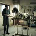 Dogman
