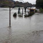 All’altezza del ponte di Piazza Vittorio Emanuele si accumulano i detriti e gli arbusti trasportati dalla corrente. All’altezza del ponte di Piazza Vittorio Emanuele si accumulano i detriti e gli arbusti trasportati dalla corrente.