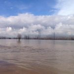 Il livello del Po aveva già messo in allerta i torinesi prima dell'esondazione. Infatti, nonostante il cielo sereno, il fiume aveva già dato segnali di piena. Il livello del Po aveva già messo in allerta i torinesi prima dell'esondazione. Infatti, nonostante il cielo sereno, il fiume aveva già dato segnali di piena.