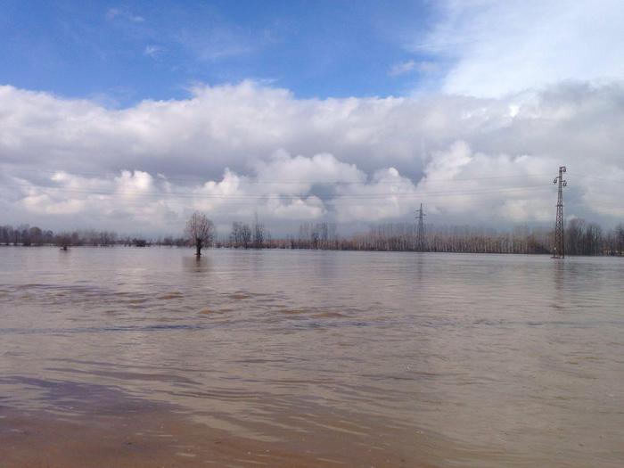 Il livello del Po aveva già messo in allerta i torinesi prima dell'esondazione. Infatti, nonostante il cielo sereno, il fiume aveva già dato segnali di piena. Il livello del Po aveva già messo in allerta i torinesi prima dell'esondazione. Infatti, nonostante il cielo sereno, il fiume aveva già dato segnali di piena.