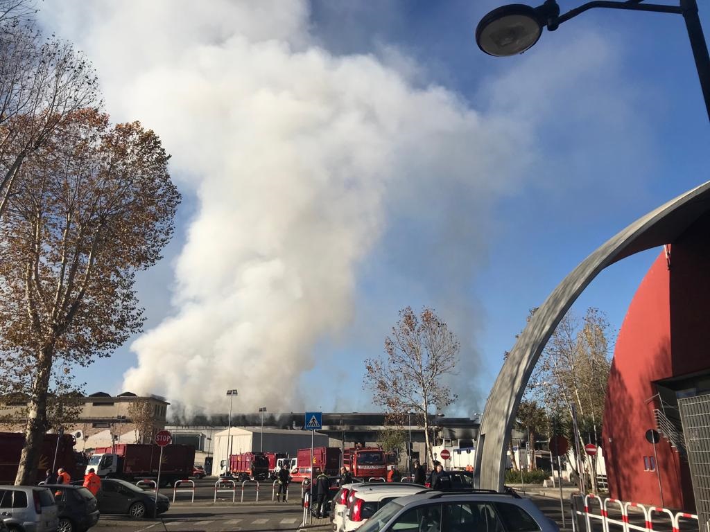 L'ingente dispiegamento di vigili del fuoco, che dall'alba controlla l'incendio