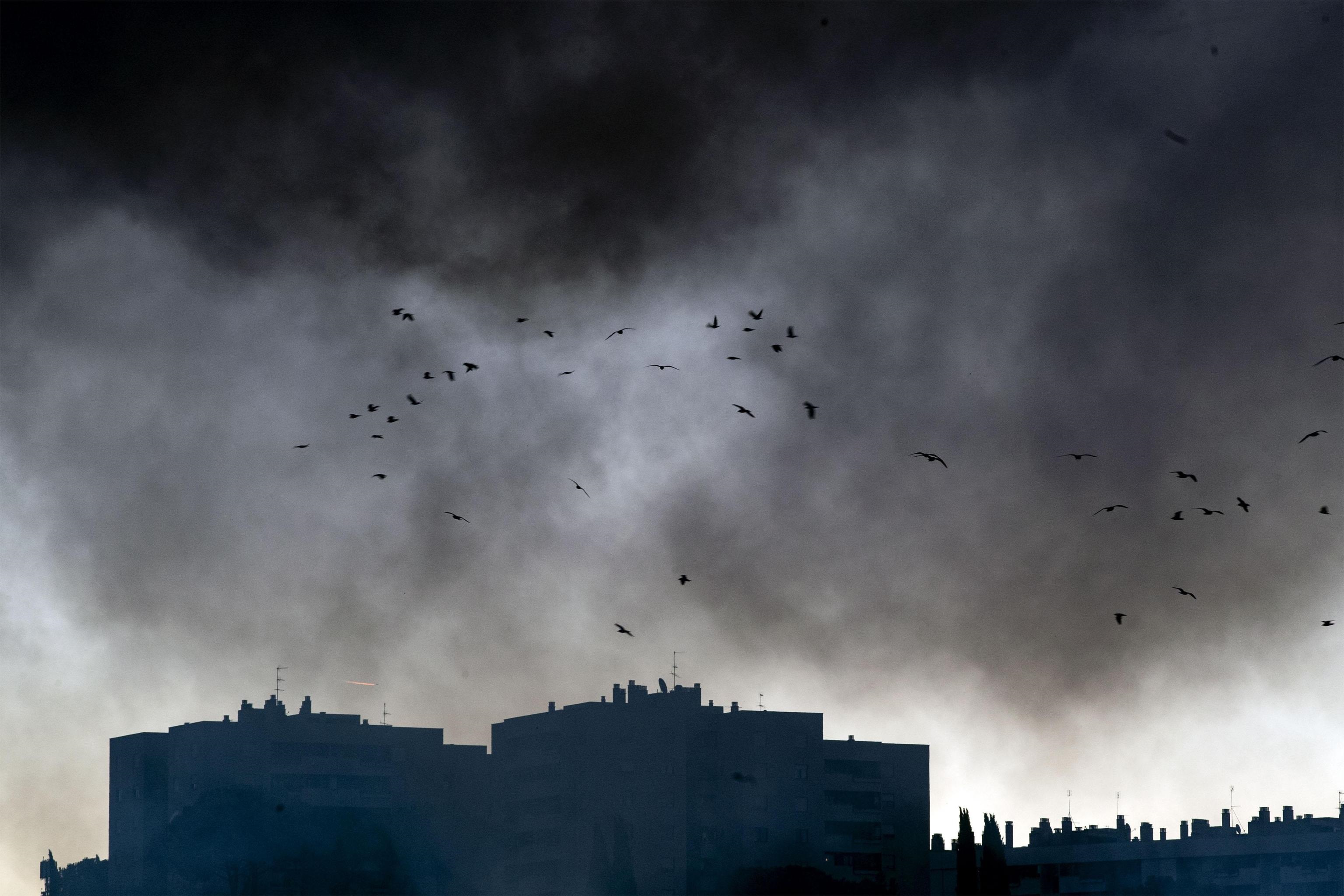 La nube tossica ha allarmato i cittadini delle zone limitrofe ed è stata percepita anche in centro città. Foto Ansa
