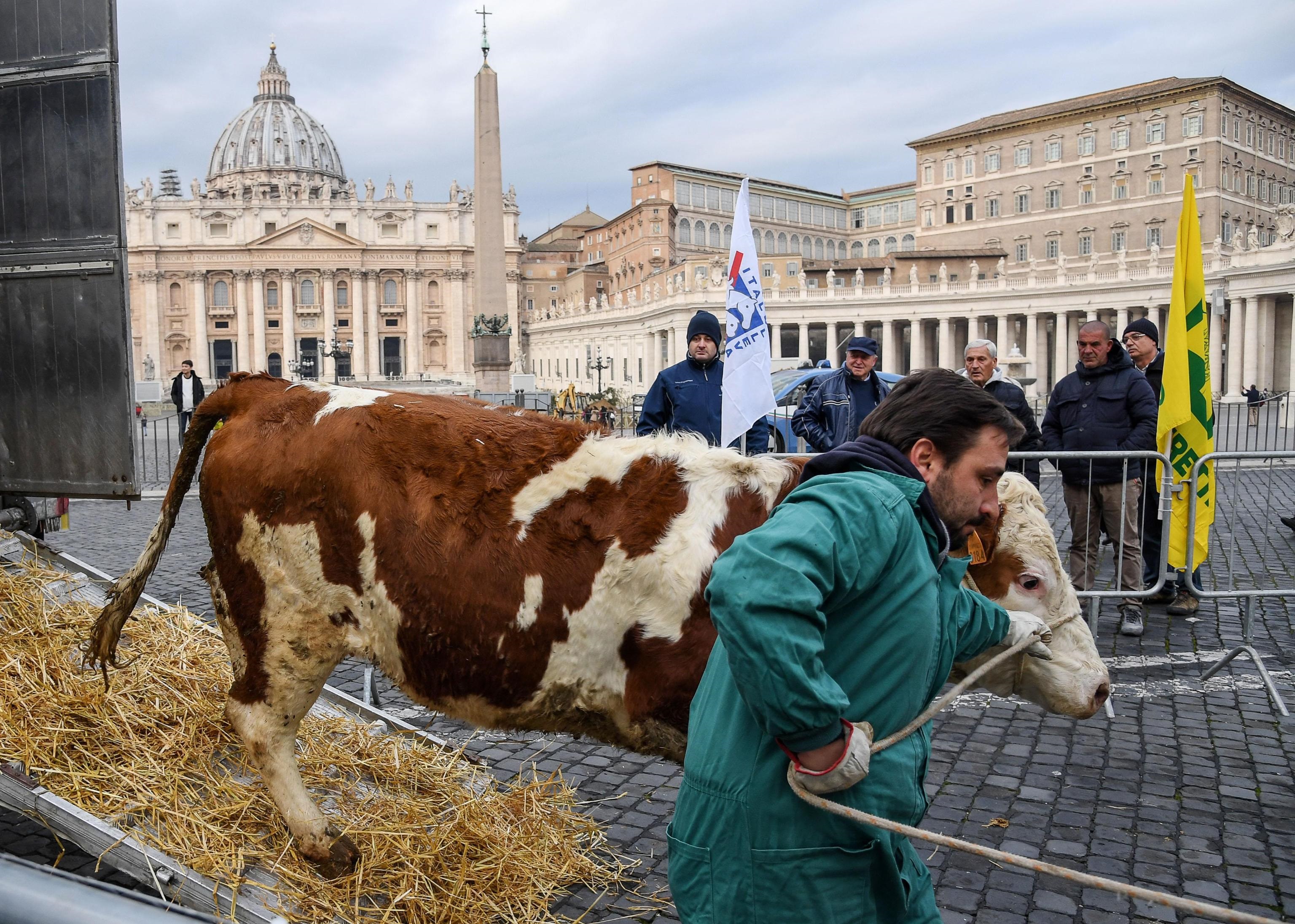 Allevatori e animali in attesa della benedizione