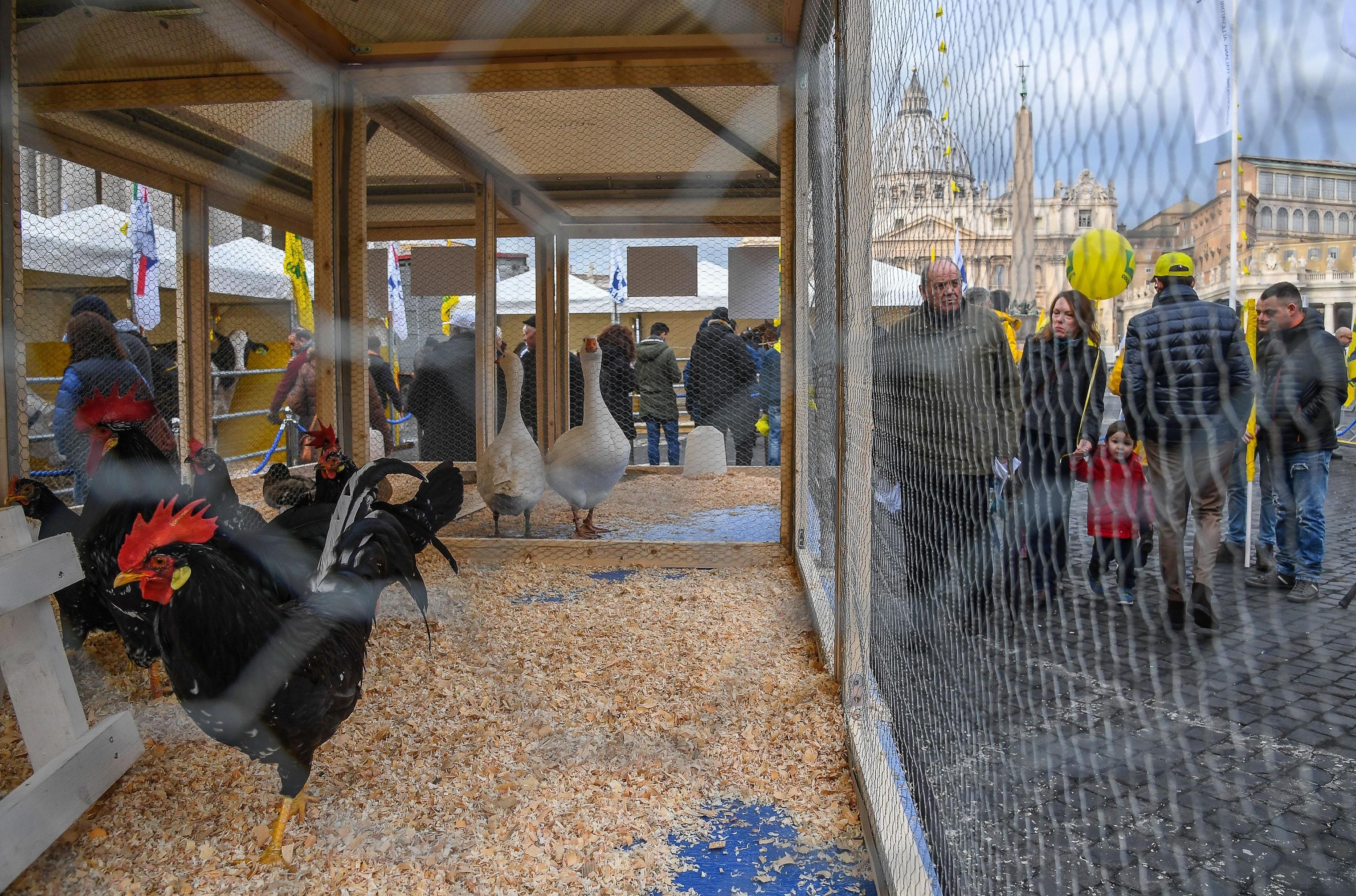 Sant’Antonio, una giornata piacevole oltre che una ricorrenza religiosa