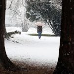 Il parco di Villa Imbonati a San Fermo della Battaglia, in provincia di Como, è coperto di bianco