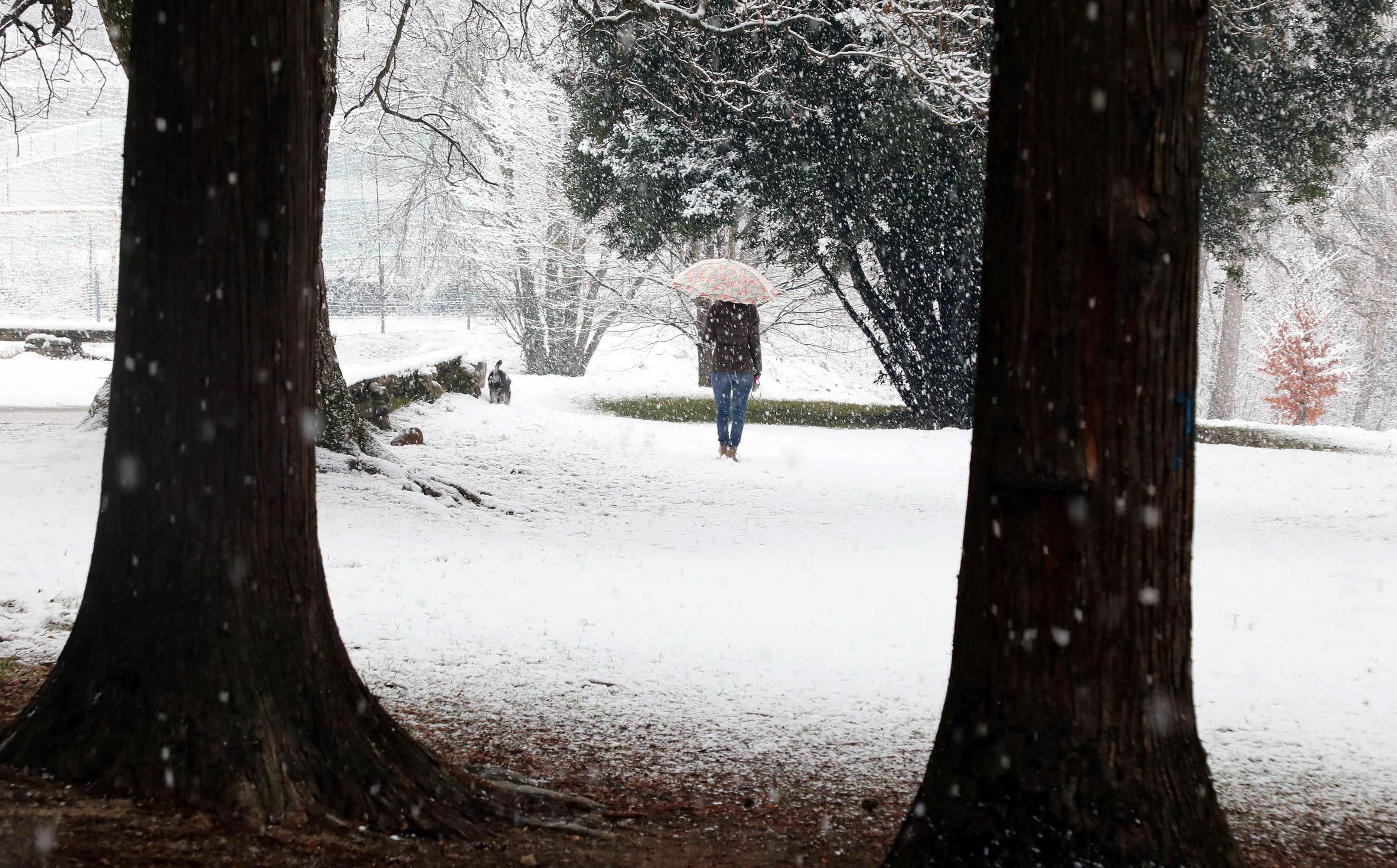 Il parco di Villa Imbonati a San Fermo della Battaglia, in provincia di Como, è coperto di bianco