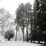 Il parco di villa Imbonati a San Fermo della Battaglia nella provincia di Como, è innevato