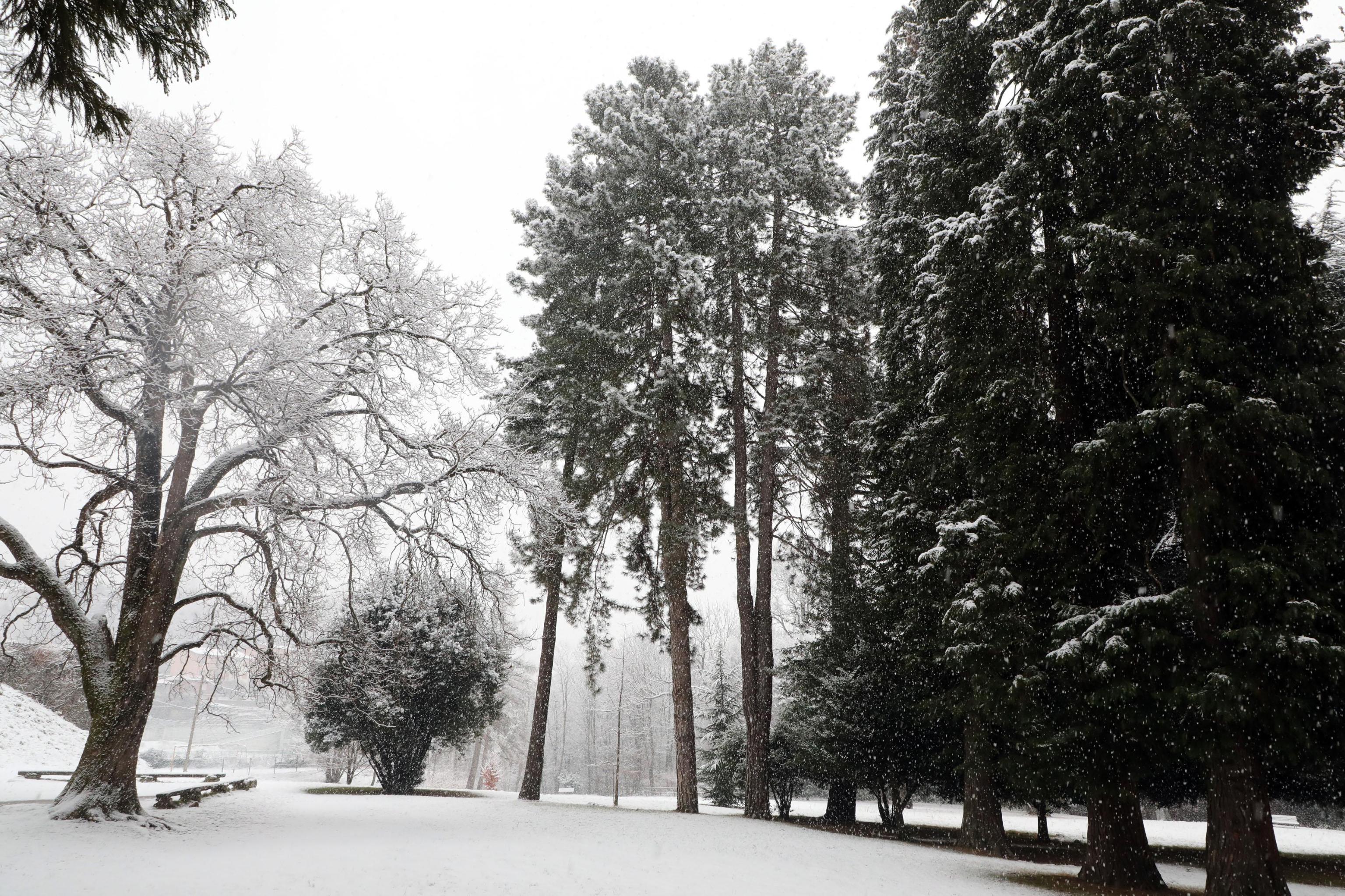 Il parco di villa Imbonati a San Fermo della Battaglia nella provincia di Como, è innevato