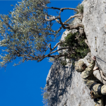 I militari procedono nell'arrampicata