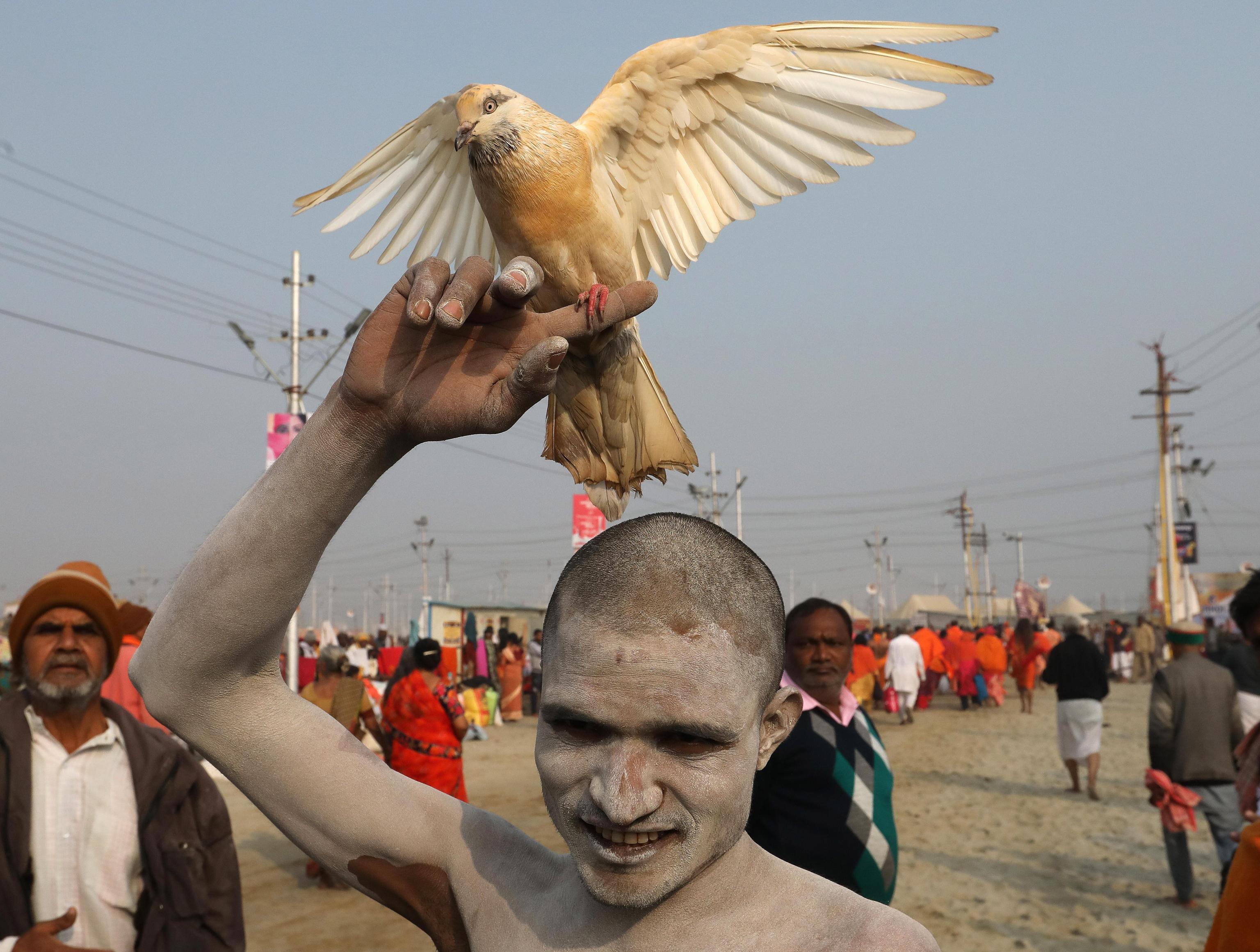 Un Naga Sadhu