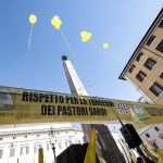 Tanta la solidarierà ai pastori: salviamo il made in Italy Tanta la solidarierà ai pastori: salviamo il made in Italy