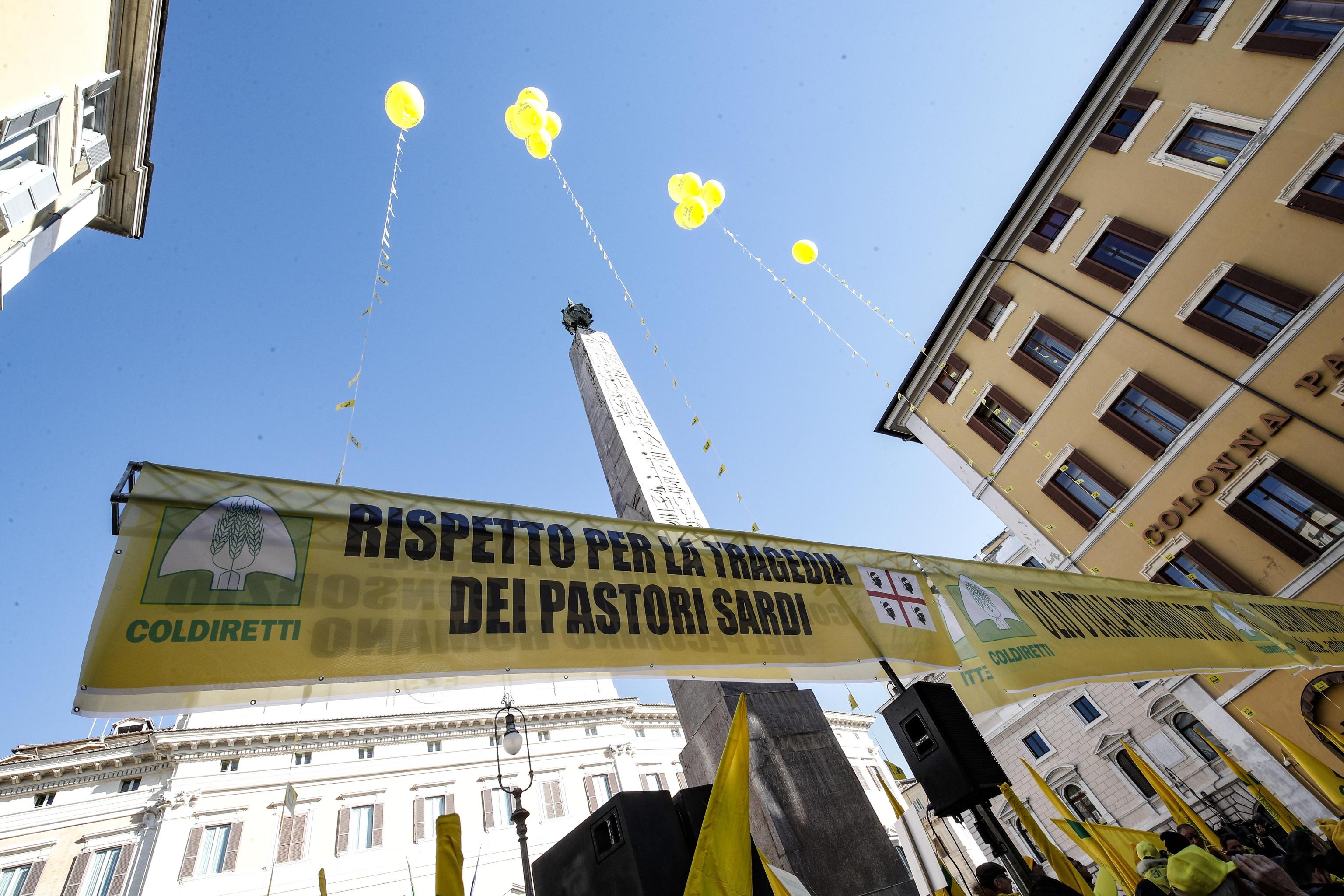 Tanta la solidarierà ai pastori: salviamo il made in Italy Tanta la solidarierà ai pastori: salviamo il made in Italy