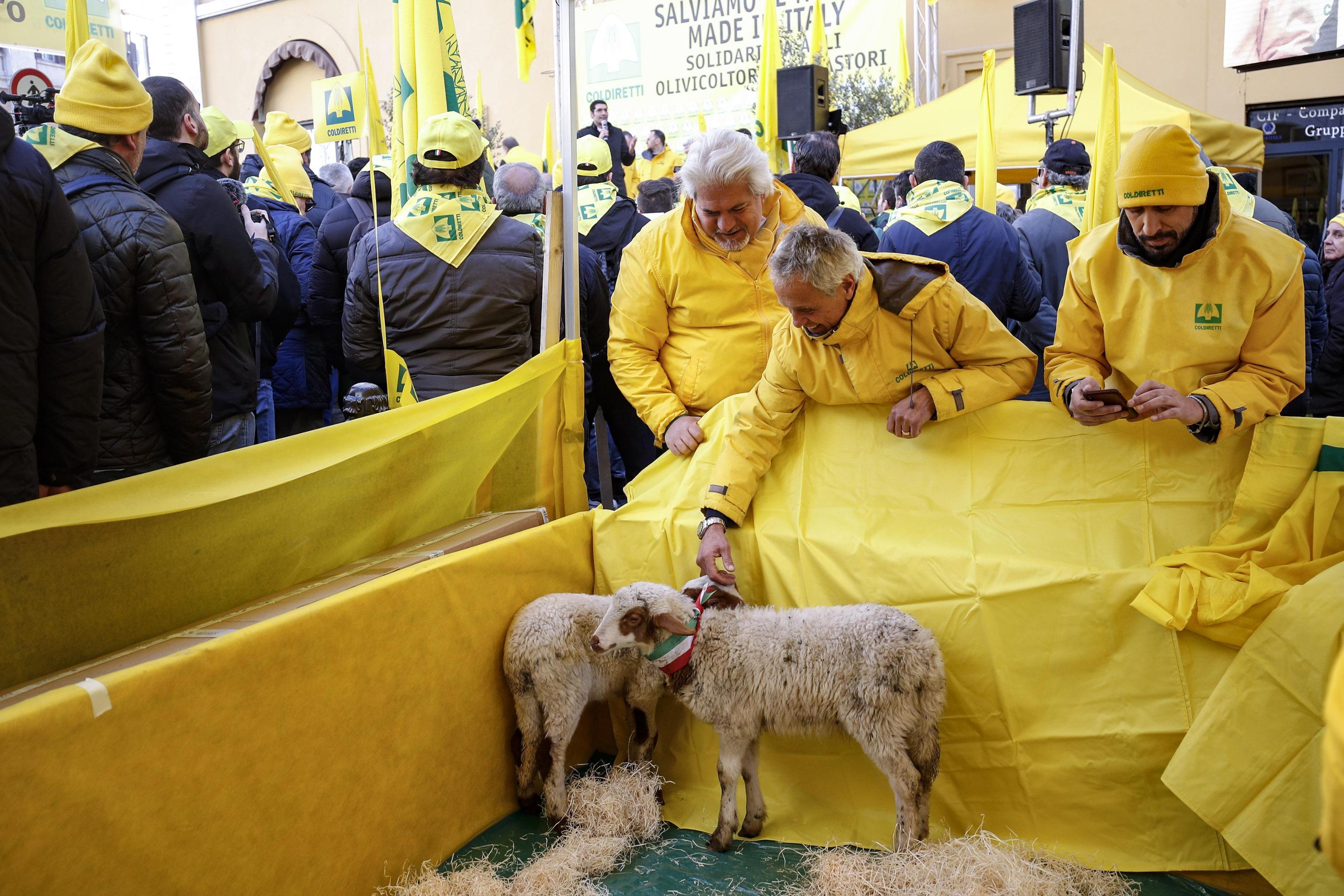 Non solo gli allevatori a manifestare oggi in piazza Montecitorio Non solo gli allevatori a manifestare oggi in piazza Montecitorio