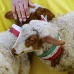 Un momento della manifestazione organizzata da Coldiretti in piazza Montecitorio Un momento della manifestazione organizzata da Coldiretti in piazza Montecitorio