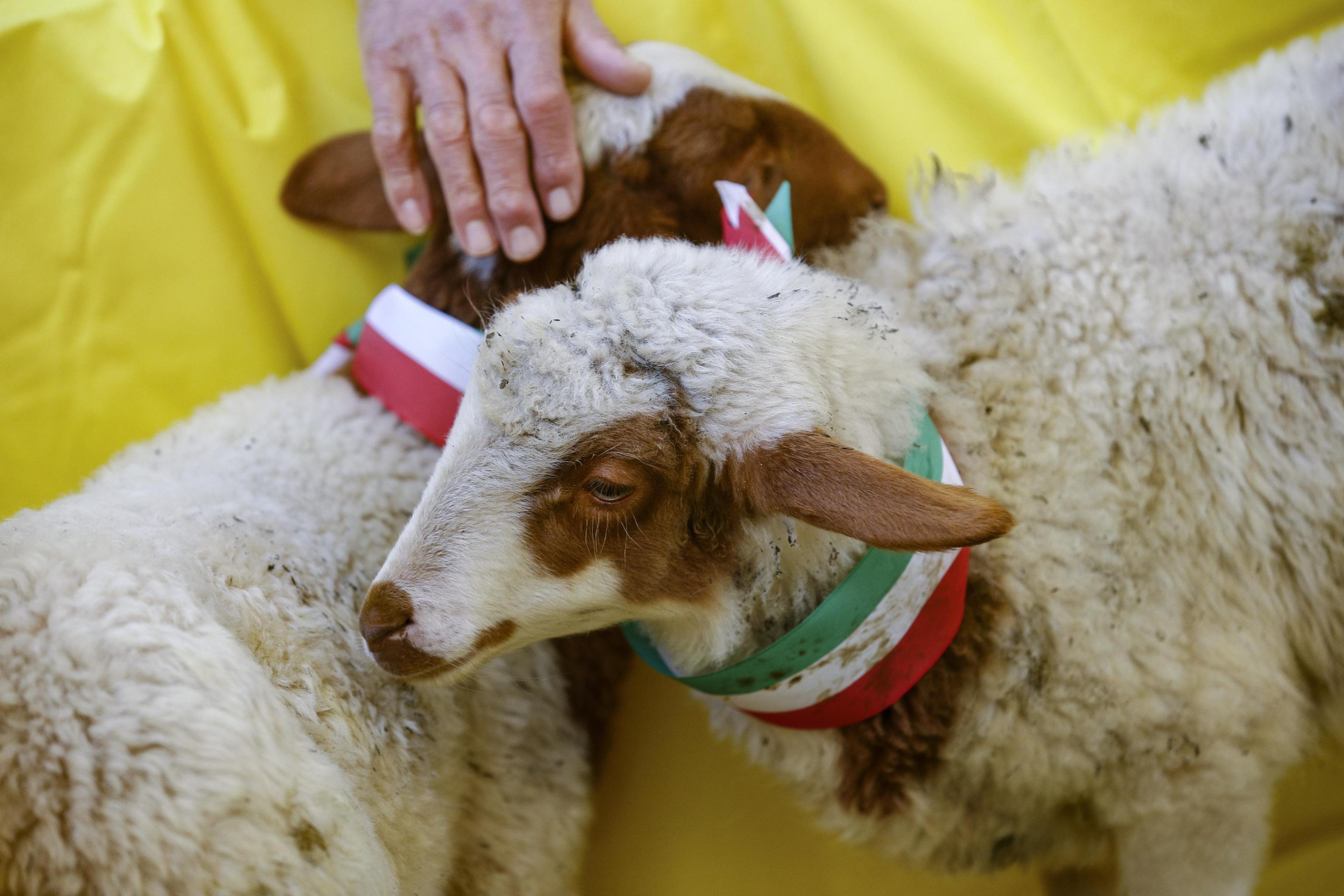 Un momento della manifestazione organizzata da Coldiretti in piazza Montecitorio Un momento della manifestazione organizzata da Coldiretti in piazza Montecitorio