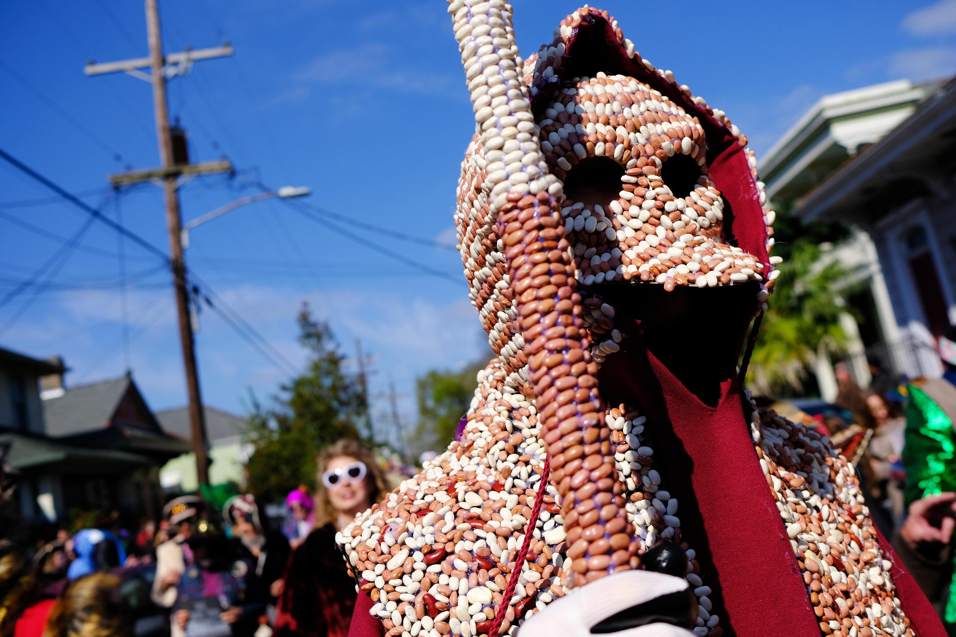 Anche quest'anno si è svolto il Carnevale di New Orleans, una celebrazione nota anche come Mardi Gras