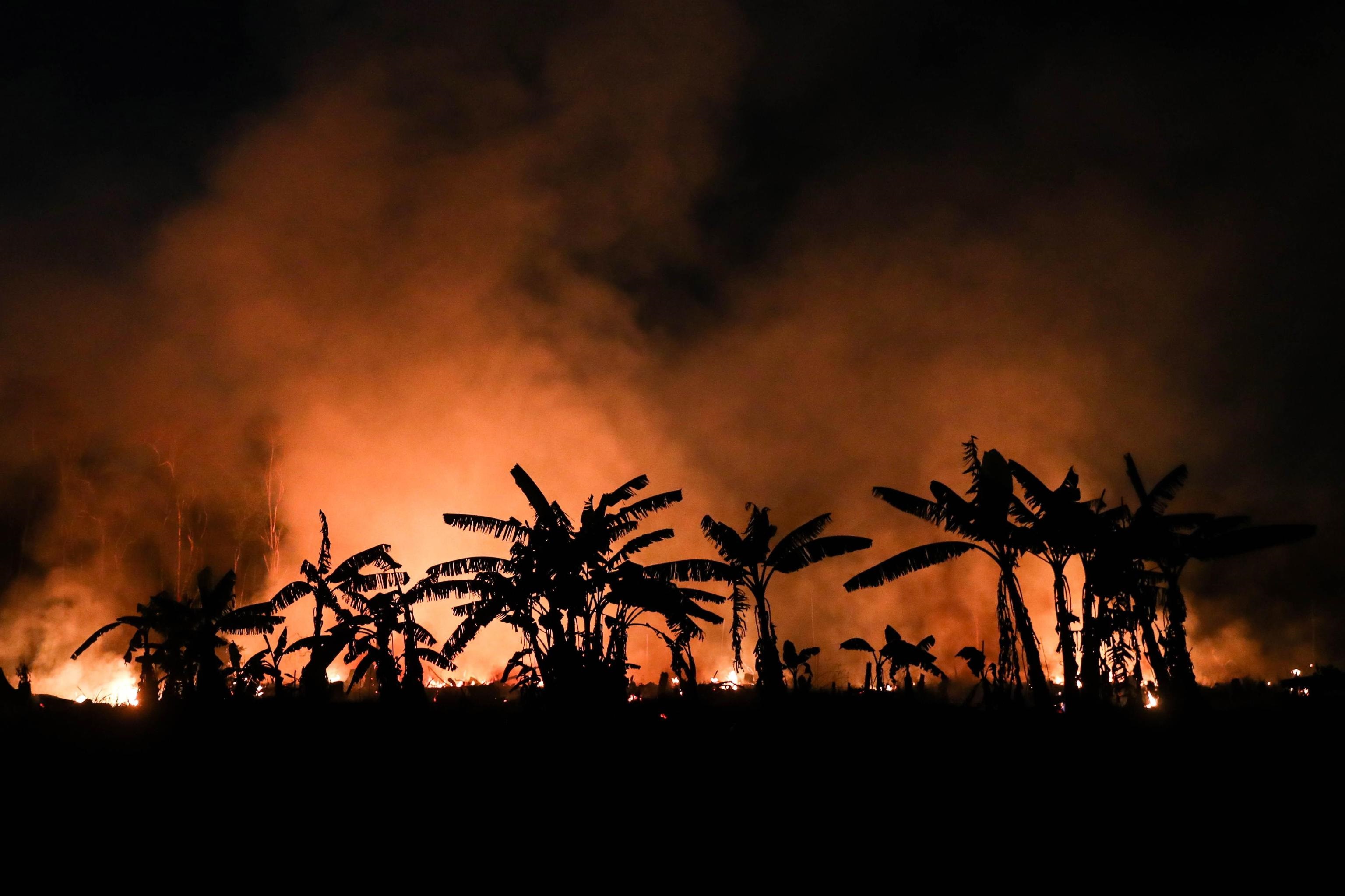 Uno scatto di parte degli incendi che sono divampati in Amazzonia durante lo scorso agosto, provocando la perdita di 1698 chilometri quadrati