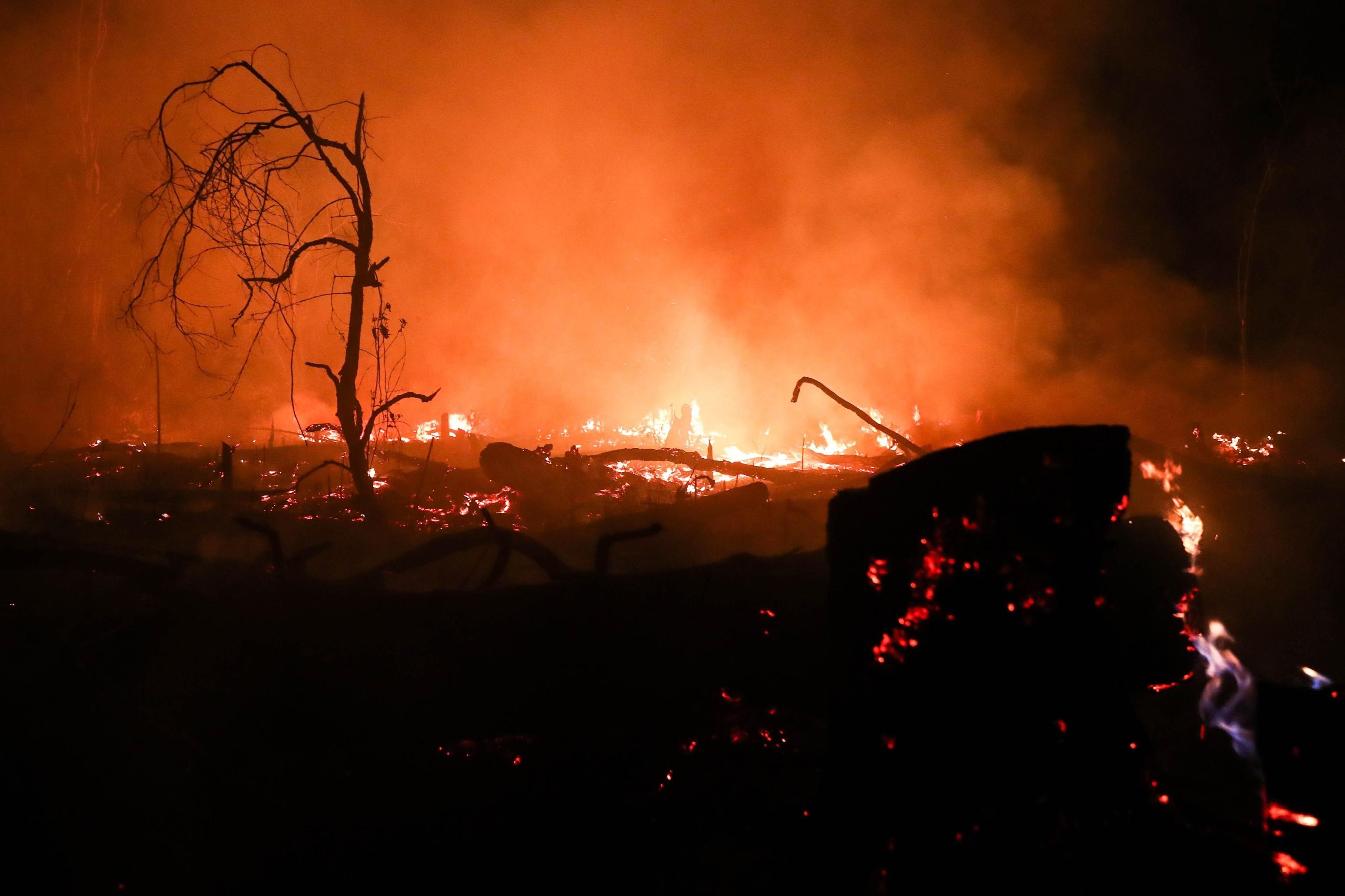 Un'immagine degli incendi in Amazzonia, che ha perso 1.698 chilometri quadrati della sua copertura vegetale lo scorso agosto